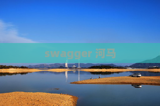 swagger 河马
